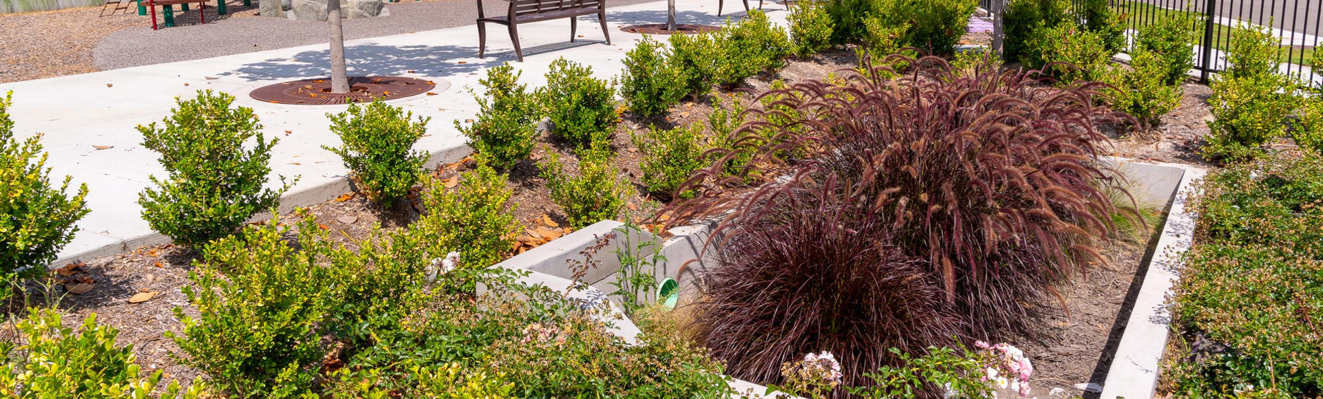 A Filterra Bioscape stormwater bioretention system.
