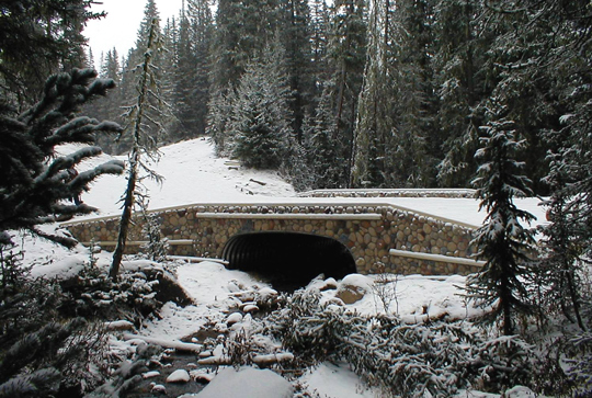 A culvert over a stream made from MULTI-PLATE. 
