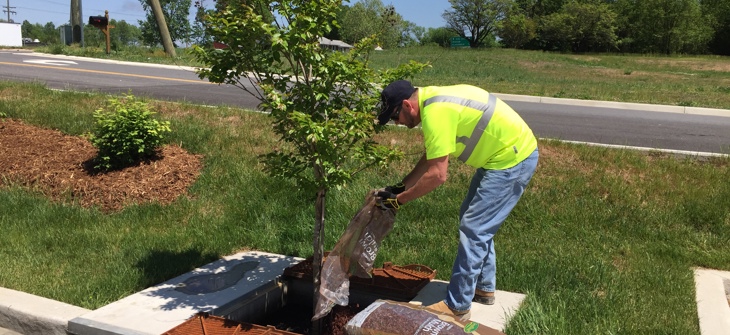 A worker performing  maintenance on a Filterra bioretention system.