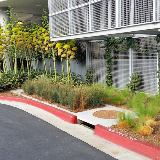 A modular Wetlands Linear stormwater biofiltration system.