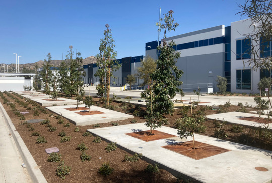 A modern industrial building with a landscaped area featuring young trees planted in concrete plots and a clear blue sky above.