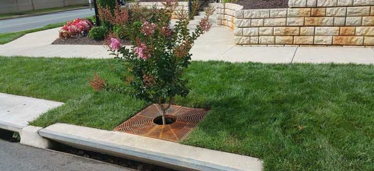 Filterra bioretention system.