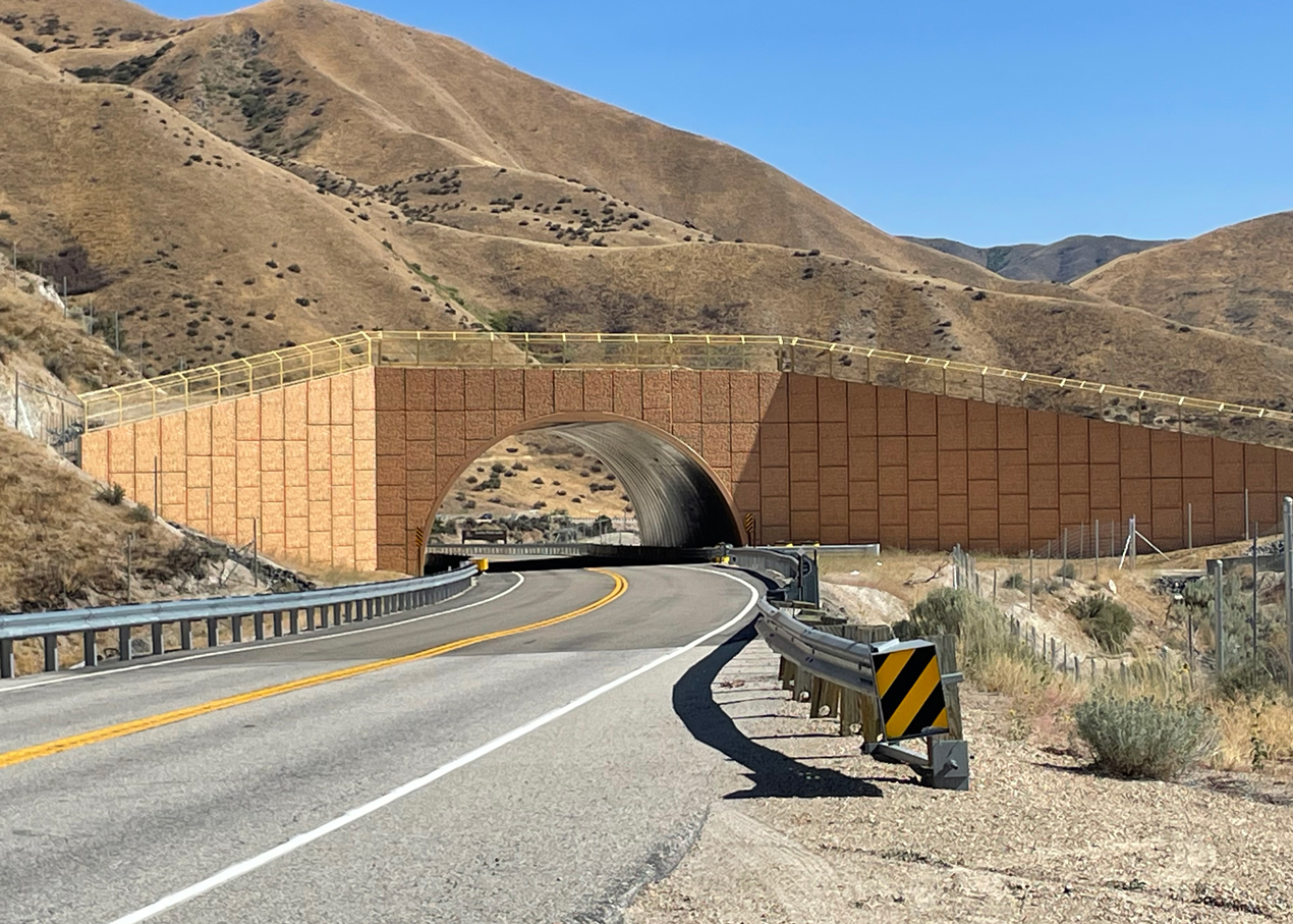A highway curves toward a large overpass tunnel set in dry, brown hills under a clear blue sky.