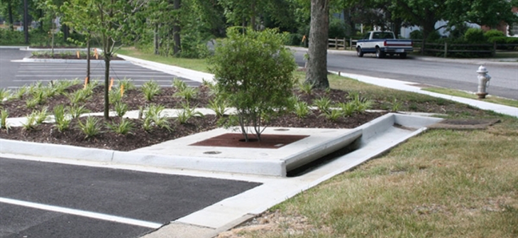 A Filterra bioretention system.