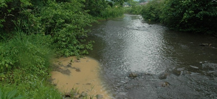 A river with muddy banks flows through a lush green forested area under a cloudy sky. Rocks are visible in the water.