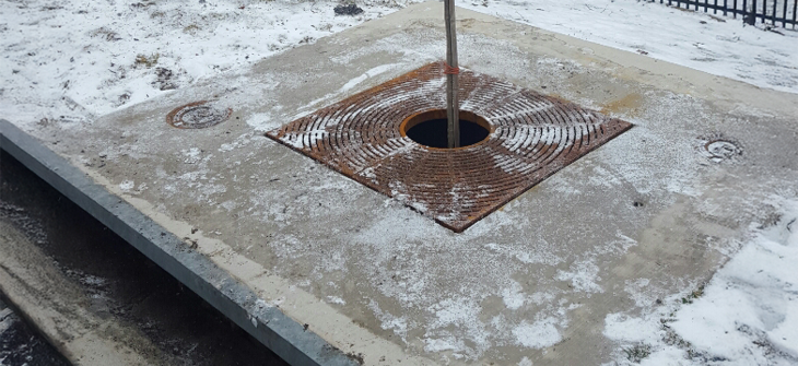Young tree planted in a square concrete pad with a metal grate, surrounded by light snow and a nearby fence.