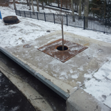 Rectangular rain garden with ornamental grasses, shrubs, and mulch, bordered by concrete and surrounded by young plants.