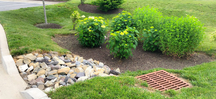 A Filterra bioretention system aids in runoff reduction.