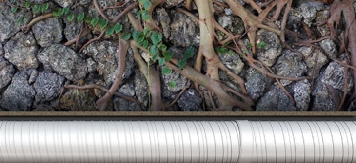 Illustration of root Intrusion of corrugated metal pipe.