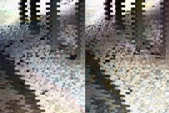 ArmorFlex cellular concrete blocks protecting a bridge from erosion and scour. 