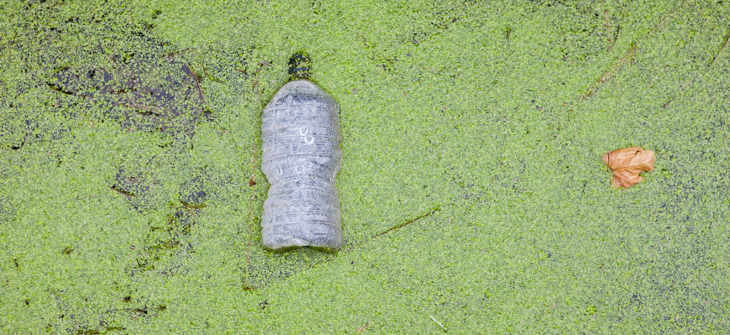 A algae bloom with a plastic bottle