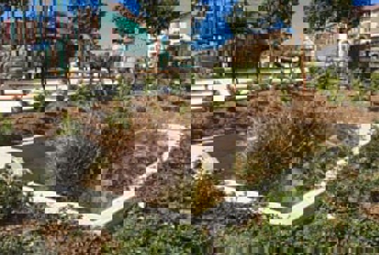 A Filterra Bioscape stormwater bioretention system in a residential neighborhood. 