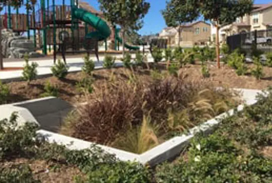 A Filterra Bioscape stormwater bioretention system in a residential neighborhood.