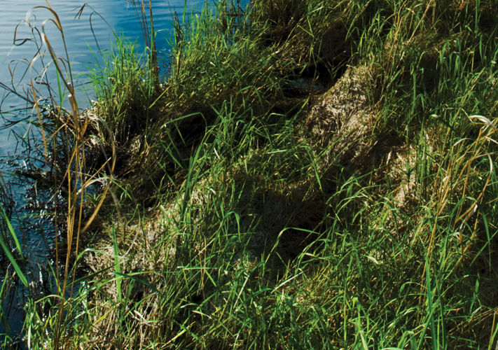 Complete Site Solutions by Contech