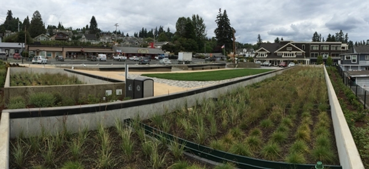 A Filterra Bioscape stormwater bioretention system.