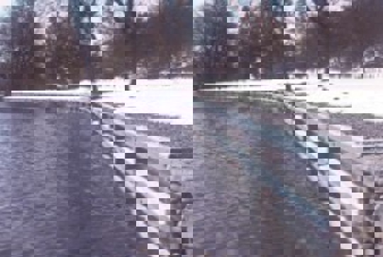 Anchor Wall shoreline protection.