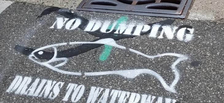 No dumping, drains to ocean stenciled on a road in front of a stormwater inlet.