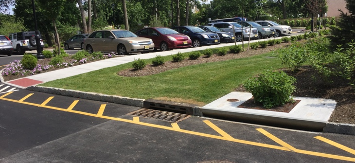 Parking lot with several parked cars, a sidewalk, grass, and a Filterra Bioretention system.