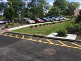 Rectangular rain garden with ornamental grasses, shrubs, and mulch, bordered by concrete and surrounded by young plants.