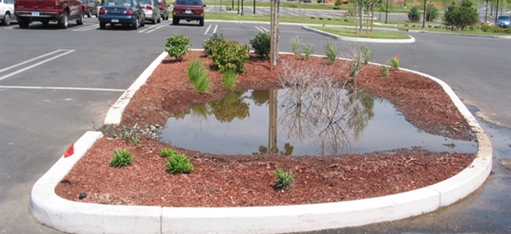 A flooded bioretention system.
