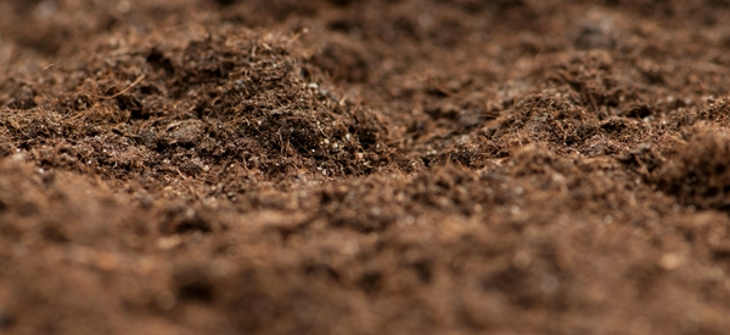 Soil.