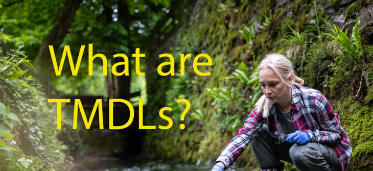 What are Total Maximum Daily Loads