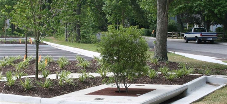 A Filterra bioretention system.