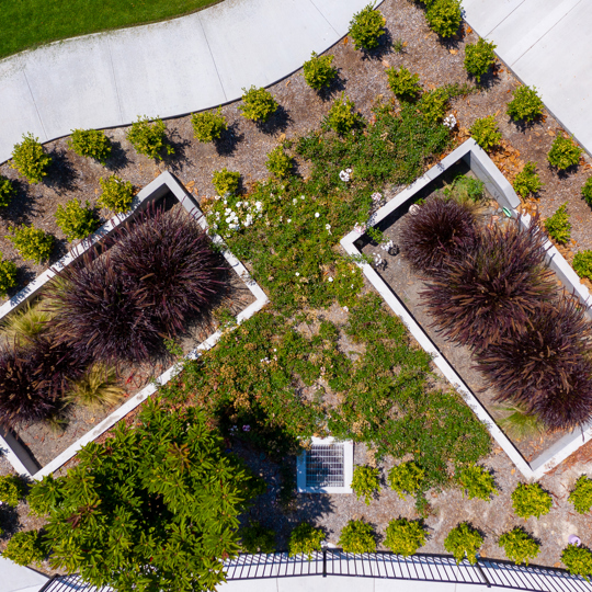 Aerial view of two rectangular garden beds with shrubs, surrounded by small bushes and concrete paths.