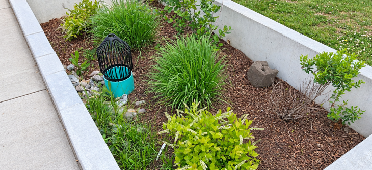 Designing Stormwater Treatment That Complements the Landscape